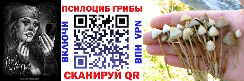 Галлюциногенные грибы мухоморы  Бабушкин 